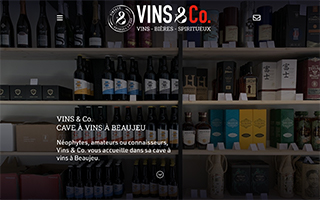 VINS & CO